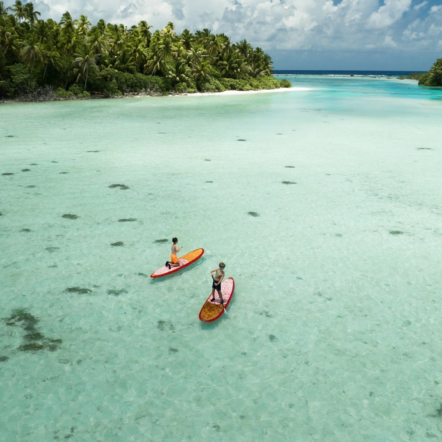 Two people stand on paddleboards in clear, shallow water near a tropical island with dense palm trees and a cloudy sky in the background.