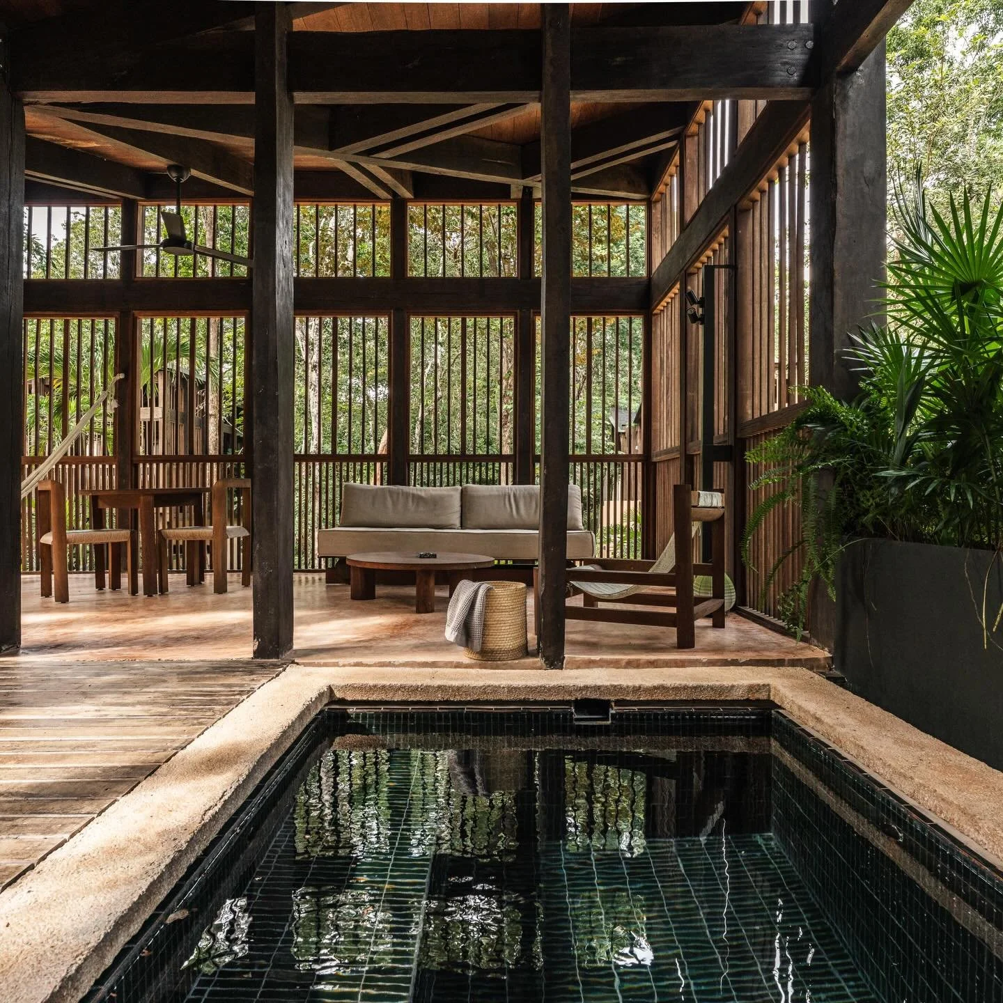 Indoor living space in a modern rustic style, with wooden furniture including a sofa, chairs, and a coffee table, surrounded by plants and large windows, overlooking trees. In the foreground, there is a small black-tiled indoor pool.