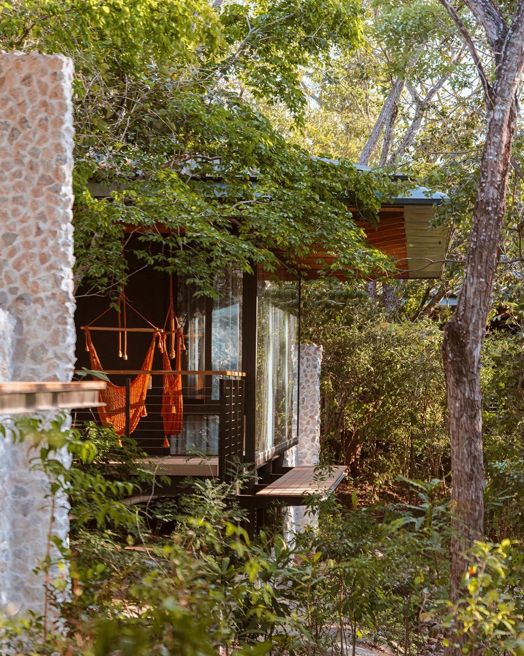 A balcony with glass panels and a wooden bench, surrounded by dense green trees and foliage, in a natural forest setting.