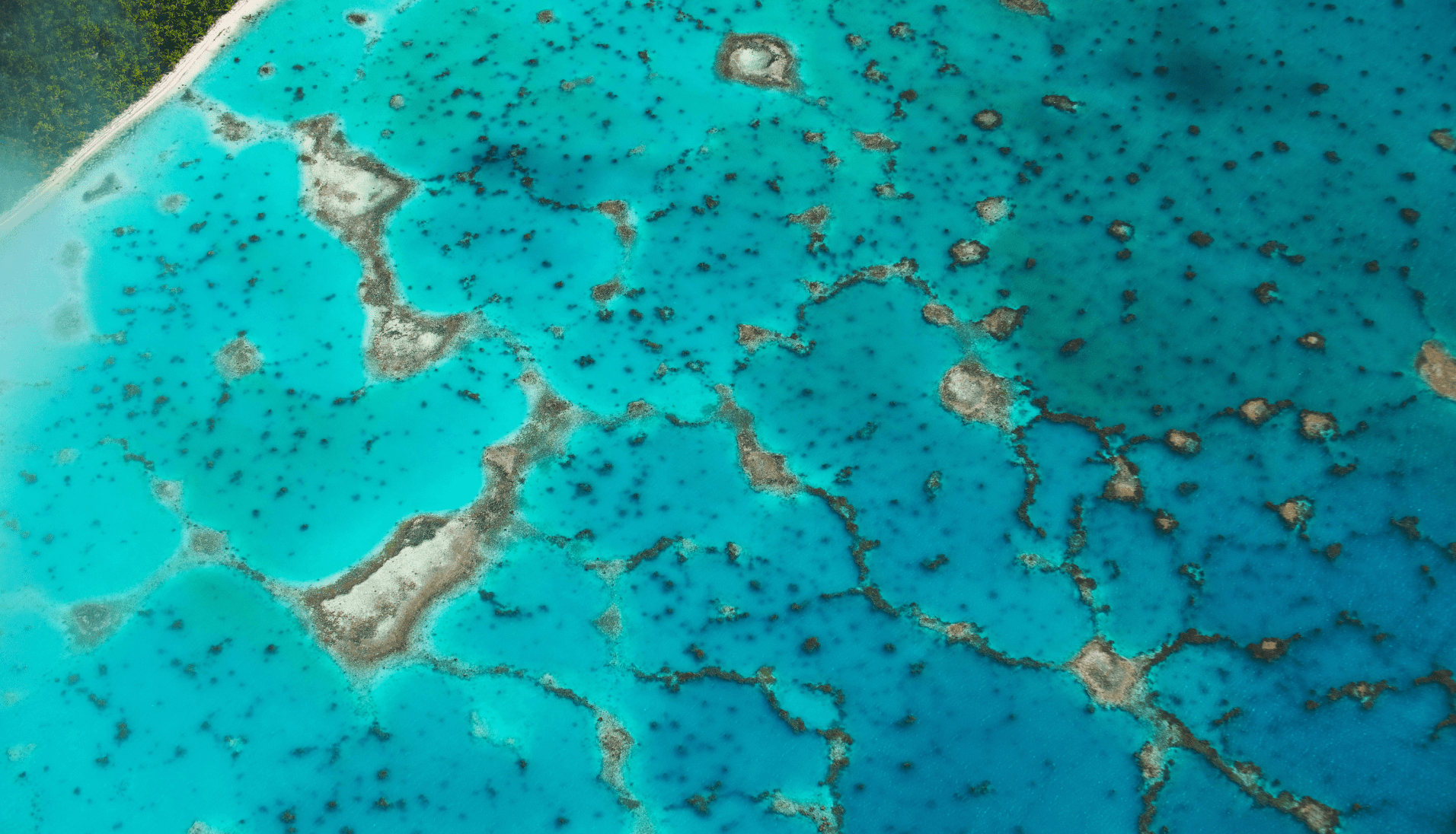 Aerial view of a coral reef with blue water and dark patches of coral formations.