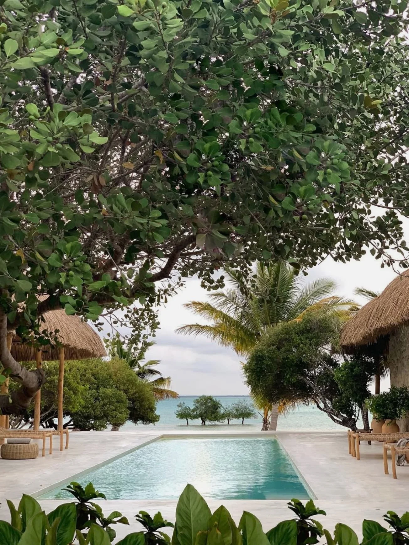 A tropical resort scene featuring a swimming pool surrounded by lush greenery, palm trees, and thatched-roof huts, overlooking the ocean on a cloudy day.