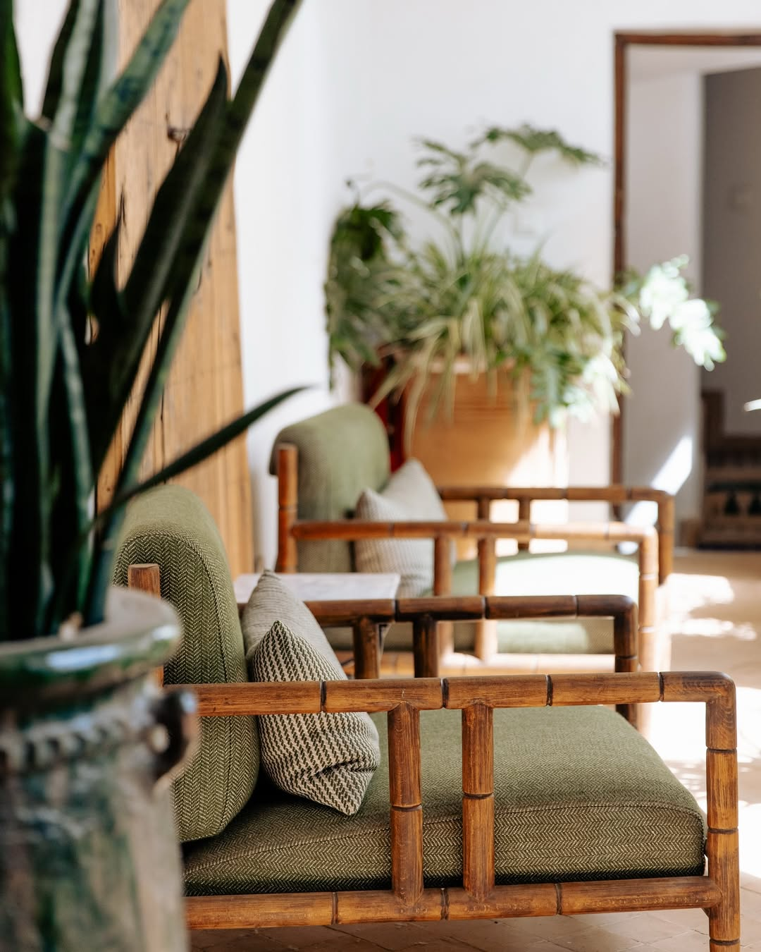 A cozy seating area with bamboo-framed chairs and green cushions, surrounded by potted plants indoors with sunlight streaming in.
