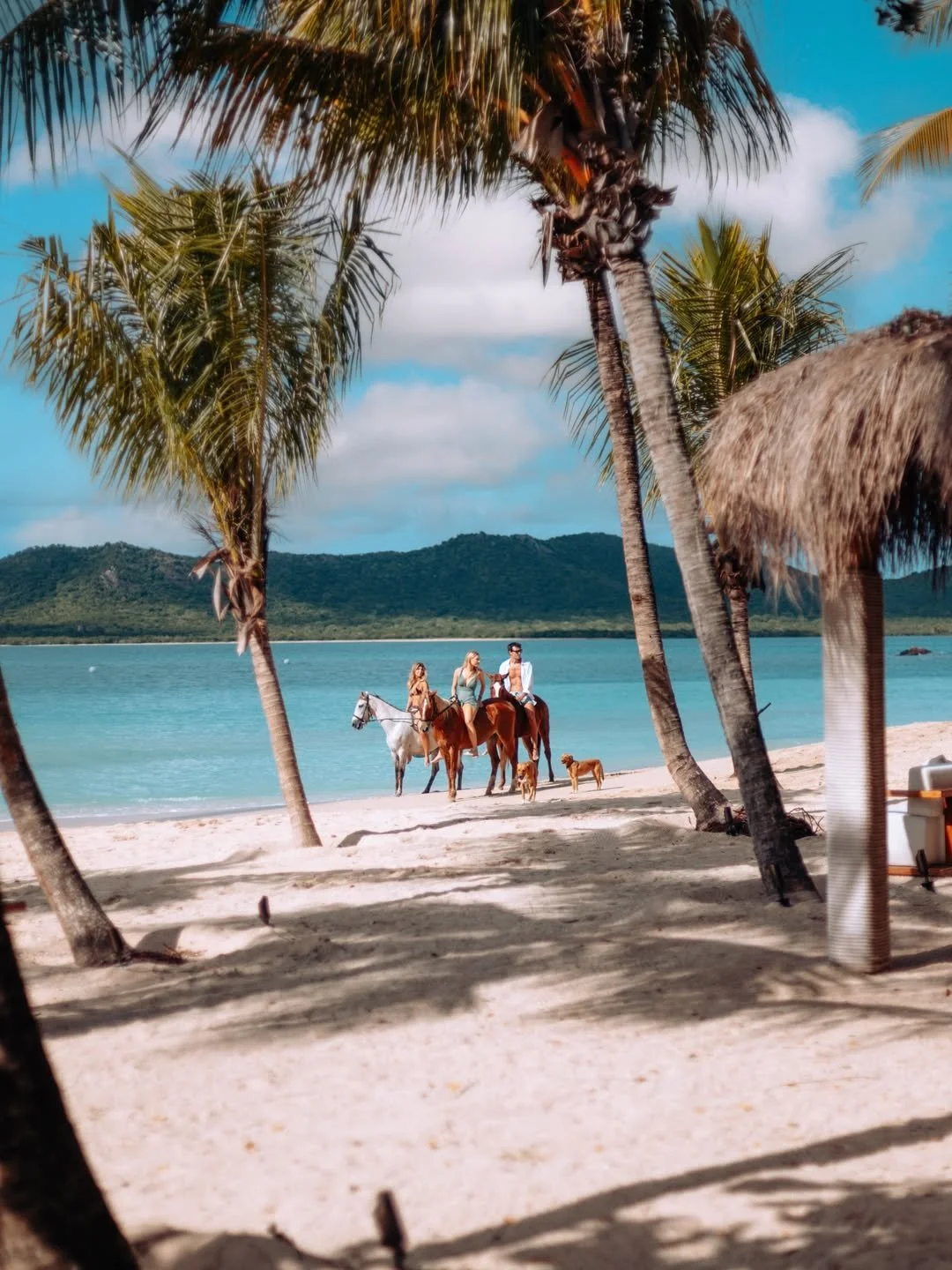 Three people riding horses along a tropical beach with palm trees, blue water, and mountains in the background.