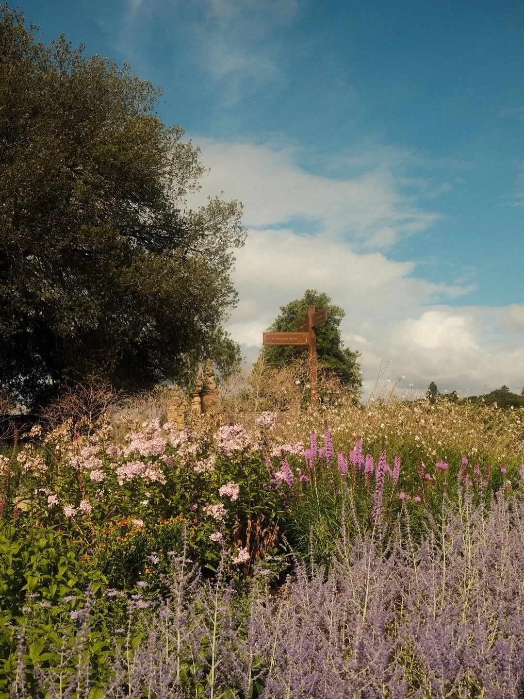 A garden filled with pink, purple, and lavender flowers under a blue sky with some clouds. There are trees and a wooden signpost in the background.
