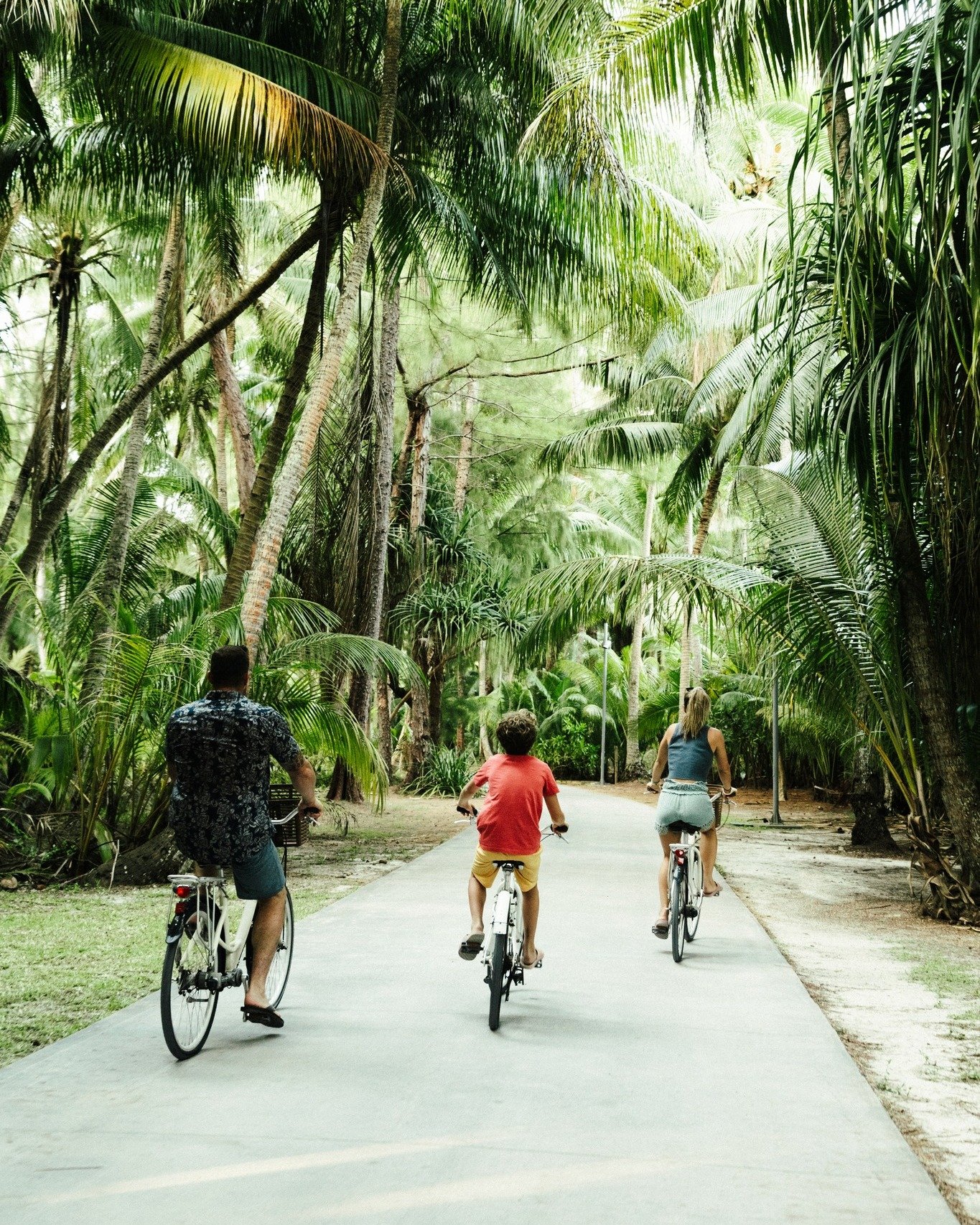 People riding bicycles on a path through a lush tropical forest with tall palm trees and dense green foliage.