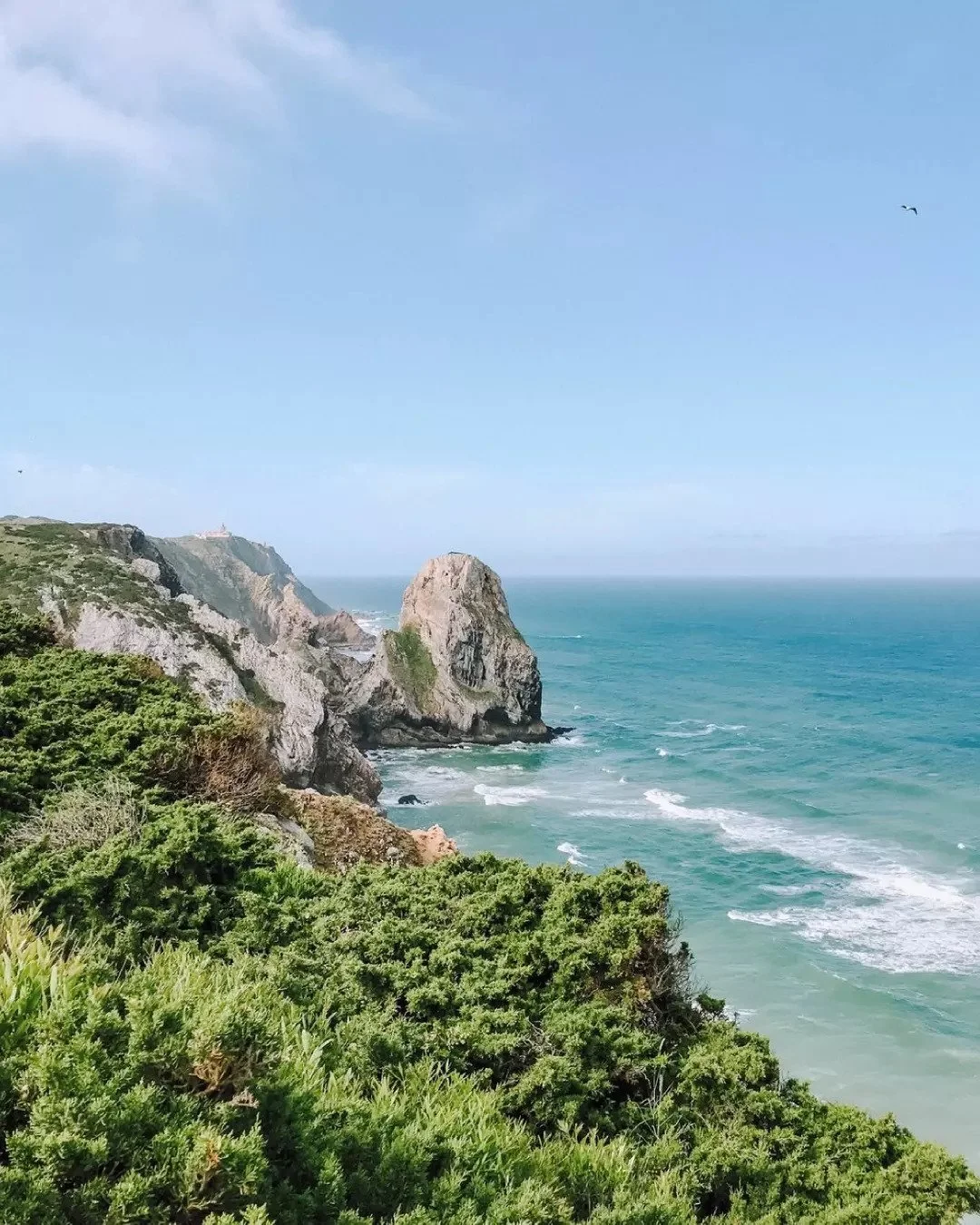 Coastal view of green bushes on cliffs overlooking the ocean with large rocks and cliffs, and a seagull flying in the sky.