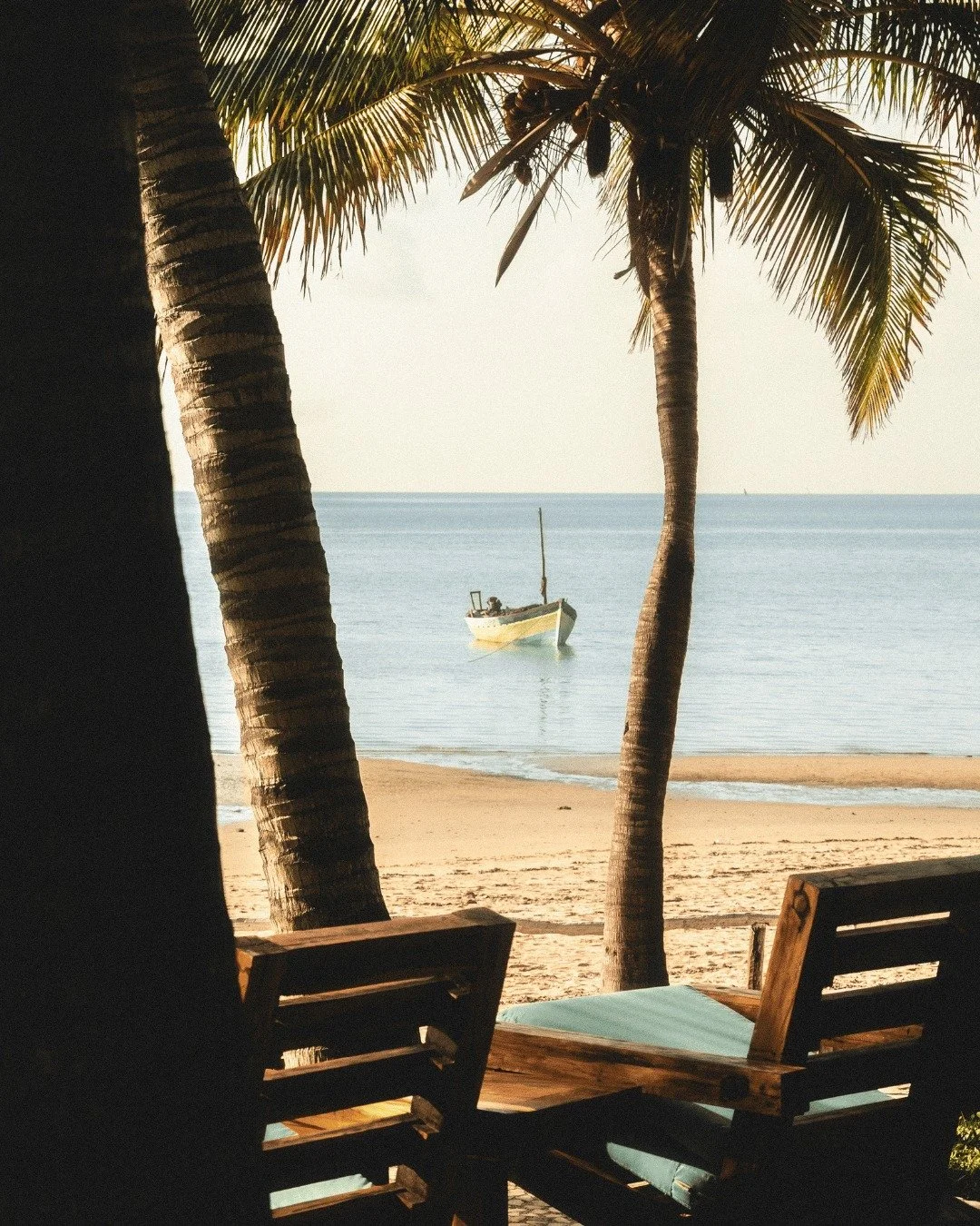 A tropical beach scene viewed through two palm trees with a boat floating on calm water in the background, and empty wooden chairs with cushions in the foreground.
