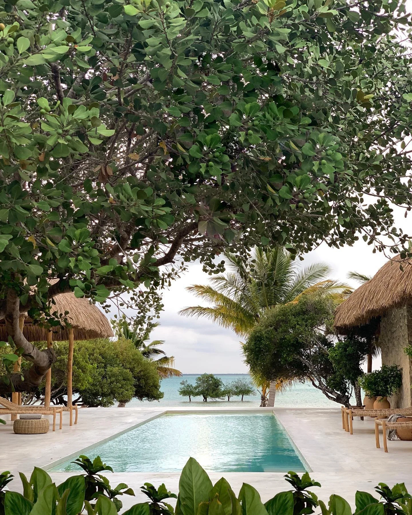 A tropical resort scene featuring a swimming pool surrounded by lush green trees and thatched-roof huts. The ocean is visible in the background, and the sky is partly cloudy.