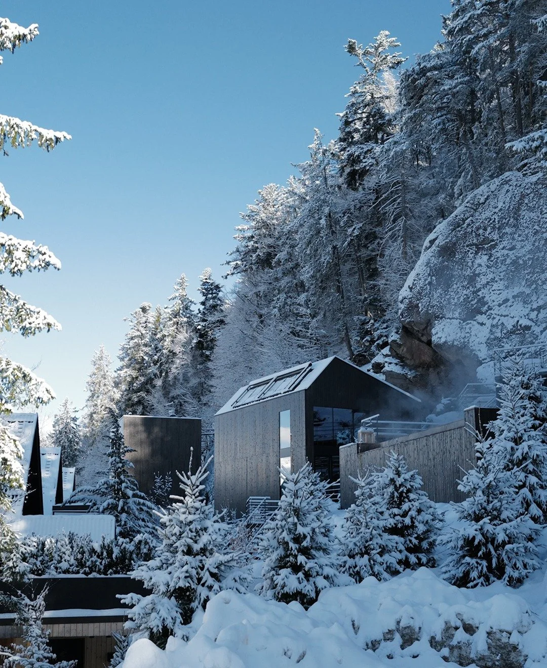 Modern house with black exterior and large windows, surrounded by snow-covered trees and rocks in a snowy mountain landscape under a clear blue sky.