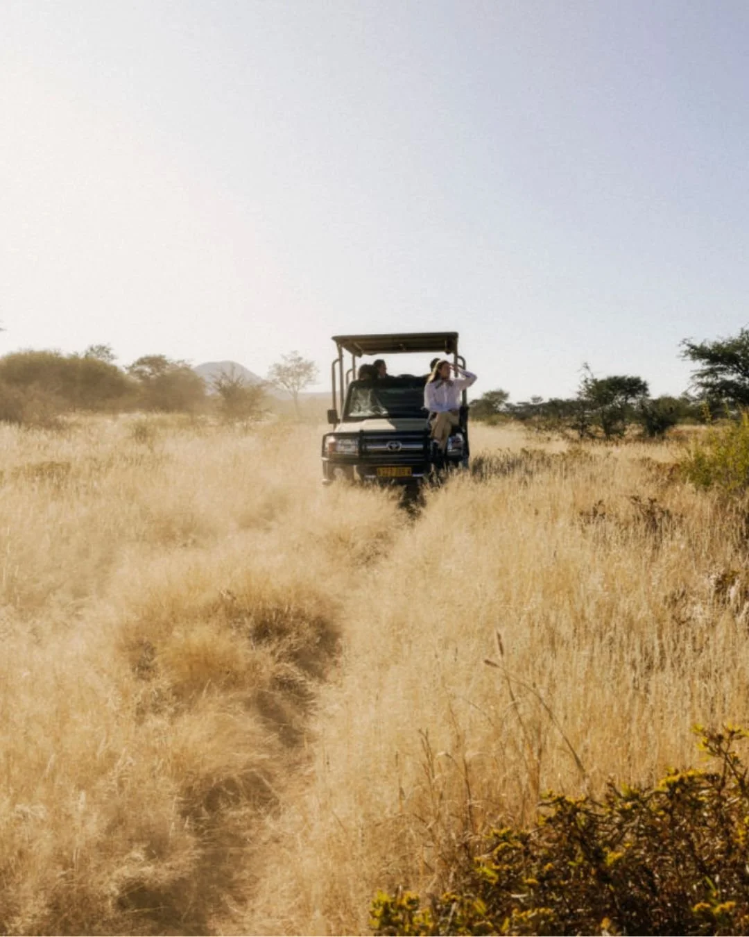 Two people riding in an open-top vehicle across a grassy plain with dry, golden grass and scattered trees in the background.