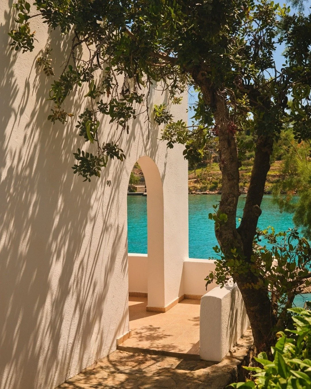 A white stucco wall with an arched opening overlooking a turquoise water body, partially shaded by a large leafy tree with shadows cast on the wall.
