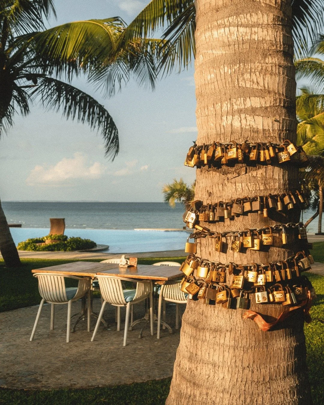 Palm tree with numerous love locks attached to its trunk, next to a table and chairs near a beach, with the ocean and sky in the background.