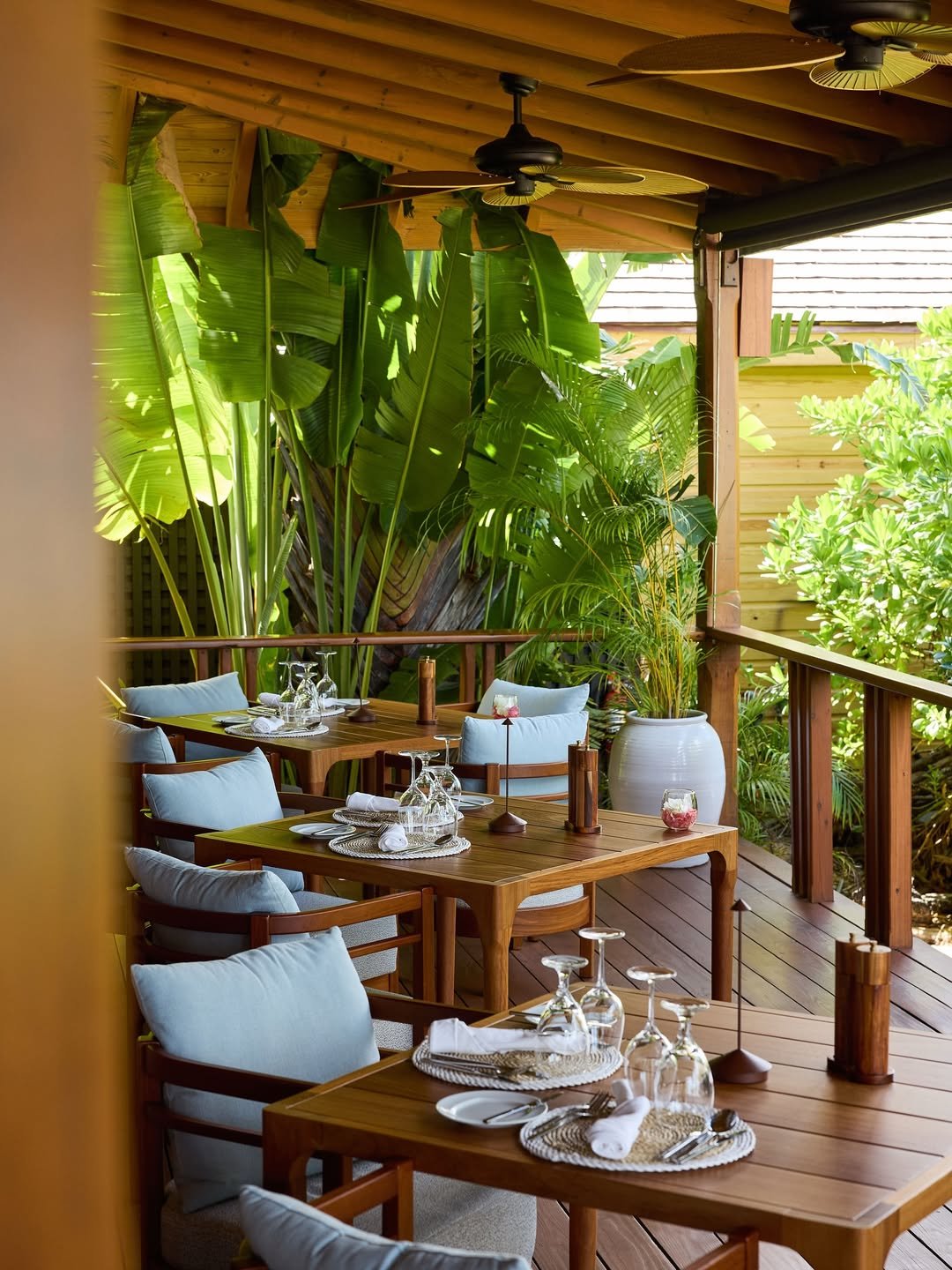 An outdoor dining area with wooden tables and chairs, set with wine glasses, plates, and silverware, surrounded by lush green tropical plants and large potted plants, under a wooden ceiling with ceiling fans.