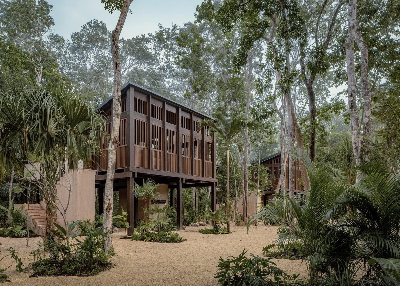 Two wooden treehouses elevated on stilts in a dense forest surrounded by tropical plants and trees.