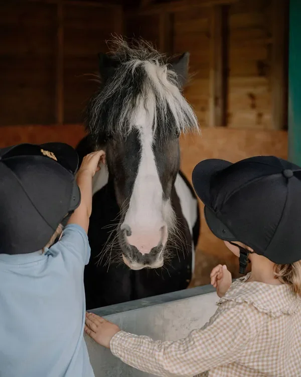 Two children pet a horse inside a barn.