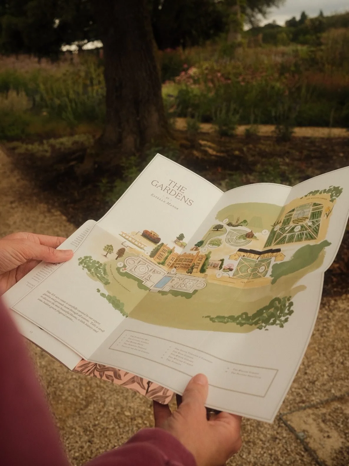 A person holding a detailed map of a garden estate with various sections, trees, and buildings, in front of a large tree and green plants.