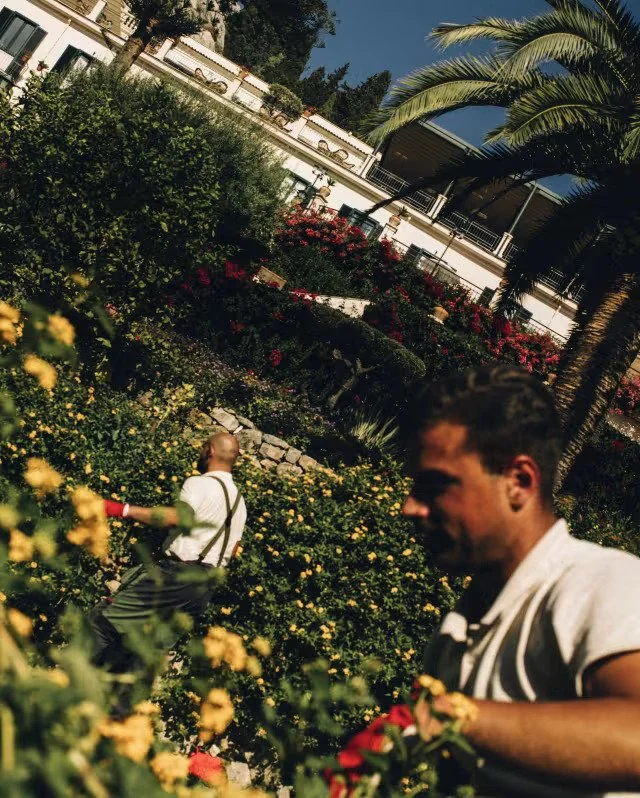 Two people tending to a vibrant flower garden with yellow and pink flowers, with a building and palm trees in the background under a clear blue sky.