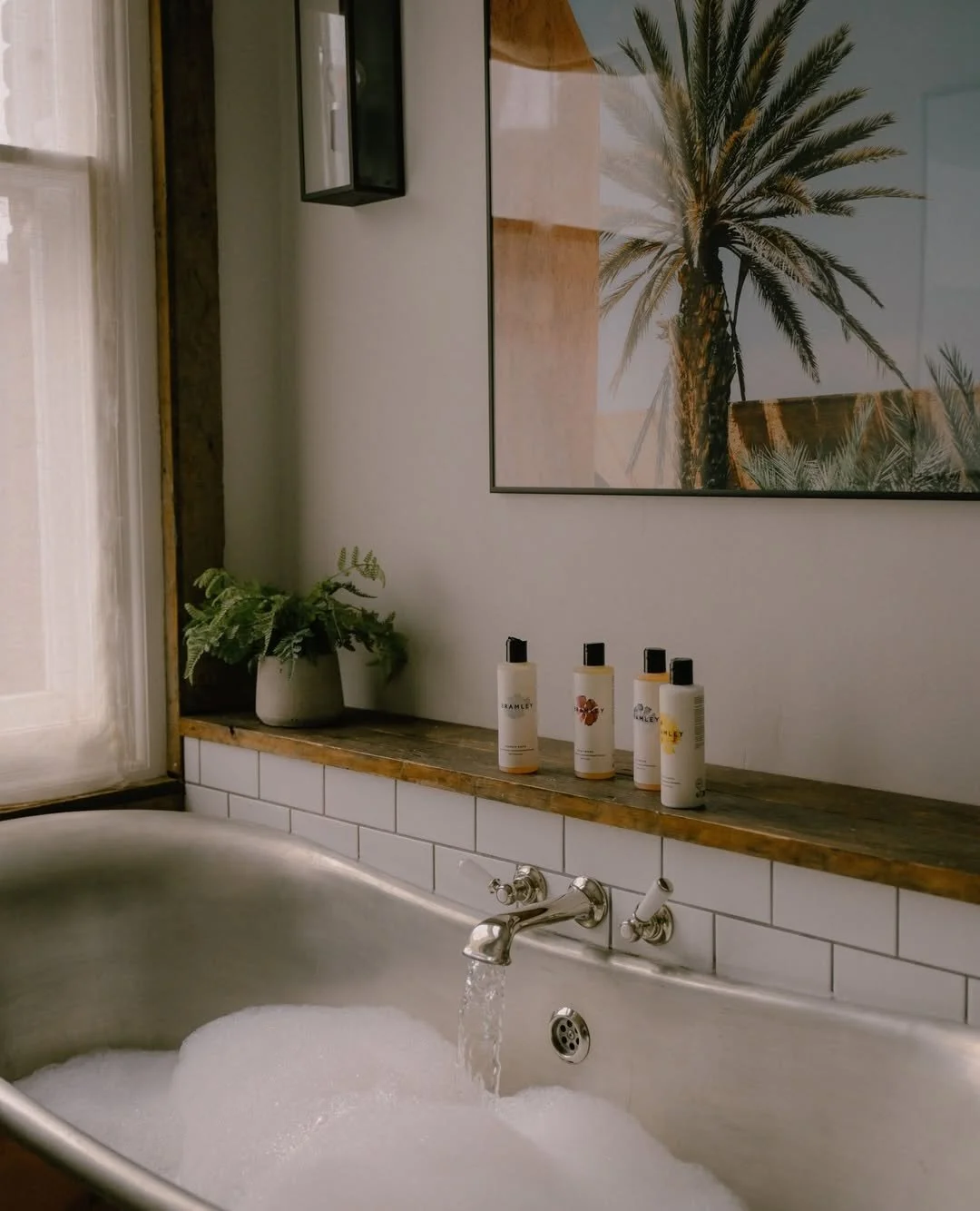 A bathroom with a bubble-filled bathtub, a wooden shelf with four bottles, a potted plant, and a framed palm tree photograph on the wall.
