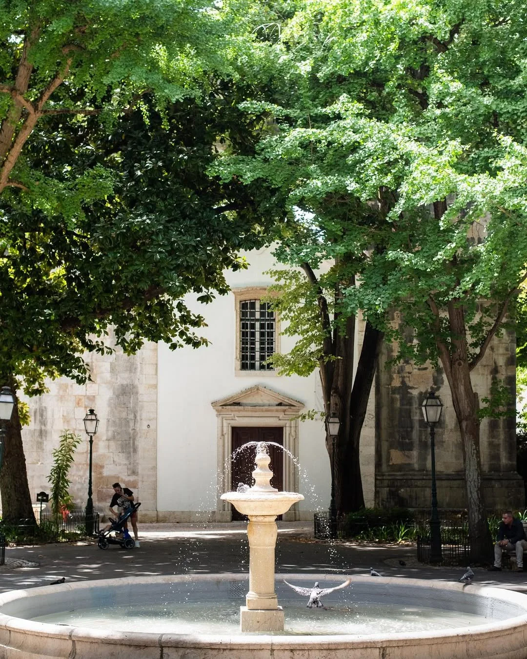 A fountain surrounded by trees and a white building with a small window and a door with a triangular pediment in the background.