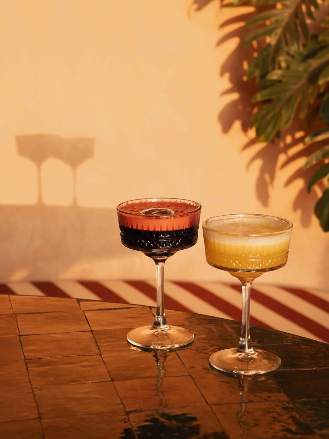 Two cocktails in elegant glasses on a wooden table, with shadows and a plant in the background.
