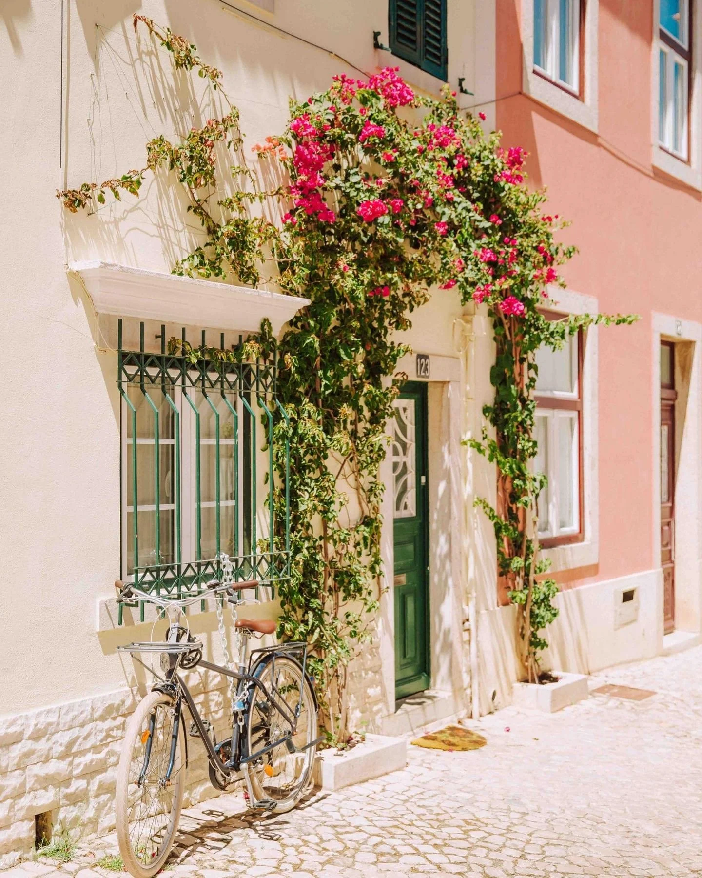 A bicycle parked against a wall with pink and green flowering plants and a green door in a Mediterranean-style building.