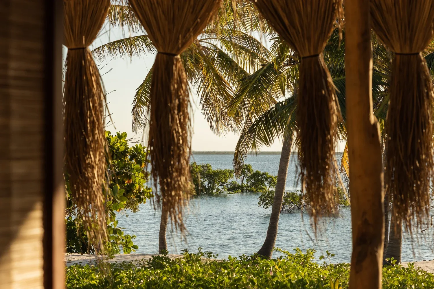Tropical beach scene viewed from a thatched hut, with palm trees, water, and shoreline in the background.