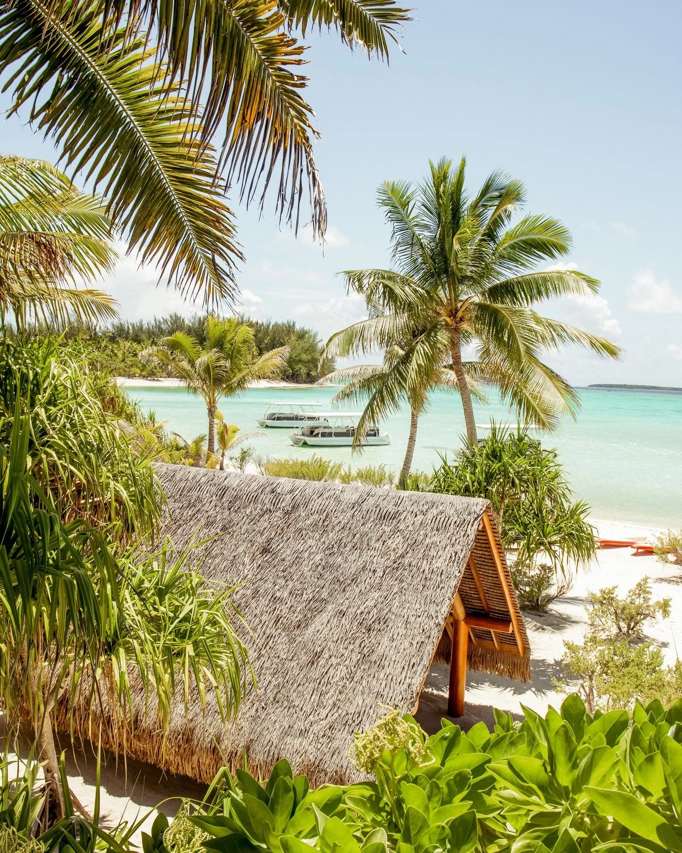 Tropical beach scene with thatched roof hut, palm trees, turquoise water, and boats docked offshore, under a clear blue sky.