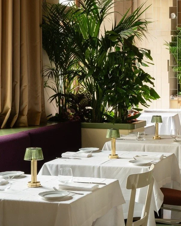 Elegant restaurant dining area with white tablecloths, green lamps, and a large potted plant near a window.