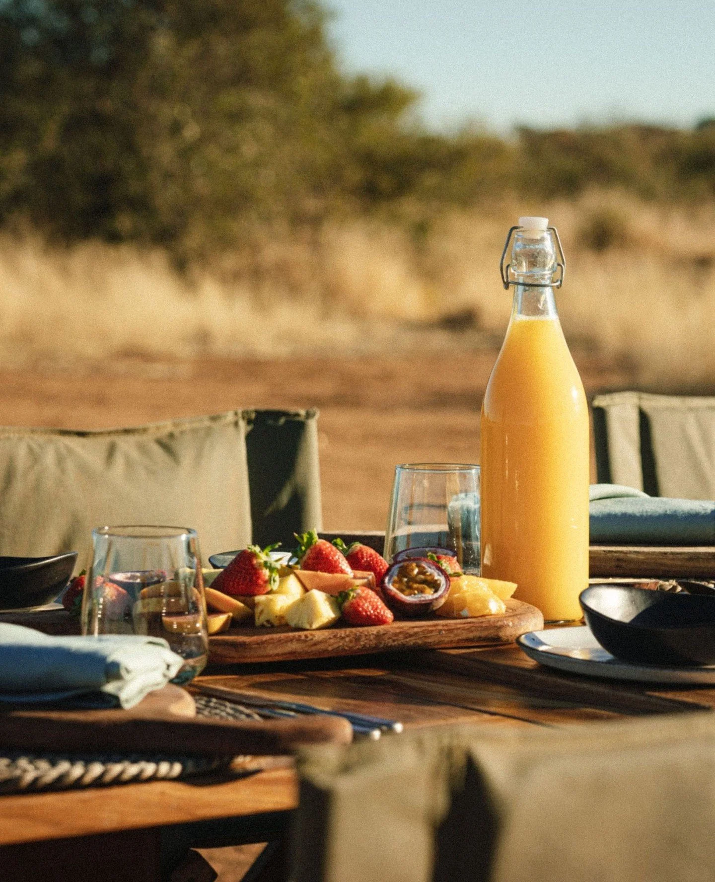 A picnic table set with a wooden platter of strawberries, pineapple chunks, passionfruit, and other fruit, surrounded by glasses, bowls, and plates, outdoors with chairs and a blurred natural background.