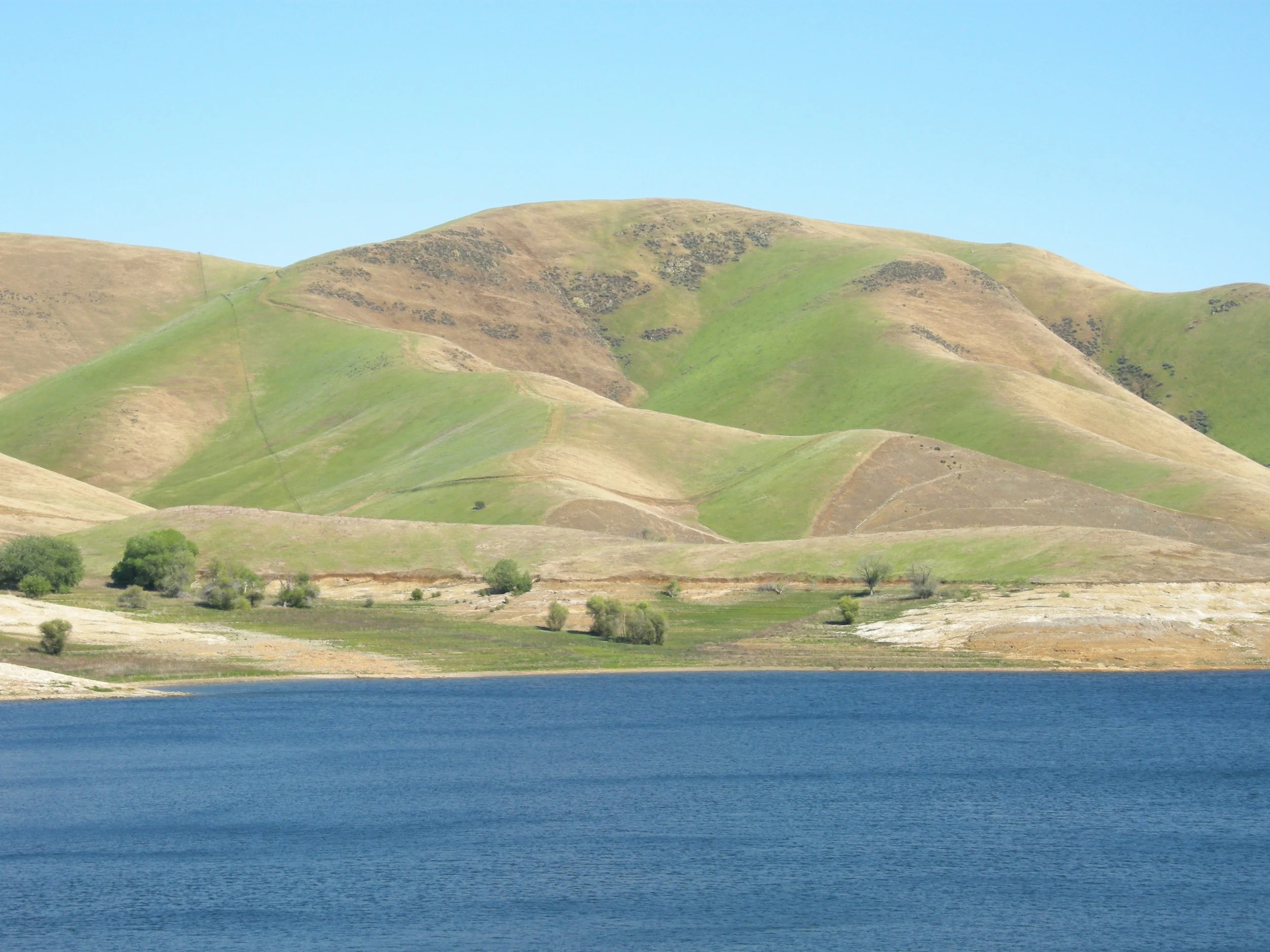 A landscape with rolling hills covered in green and brown grass and sparse trees, a large body of blue water in the foreground, under a clear blue sky.