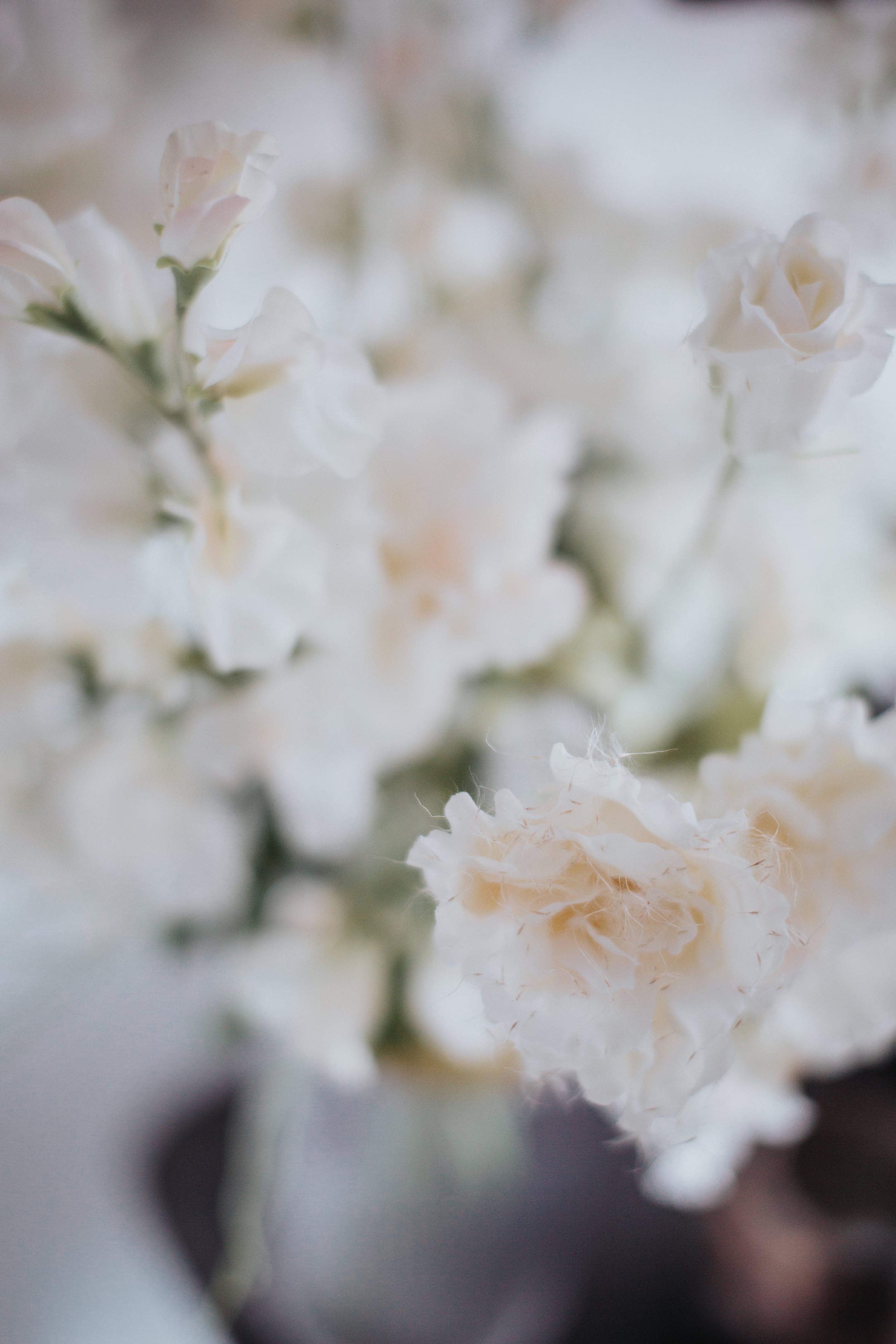 IMG_8201_result.webp