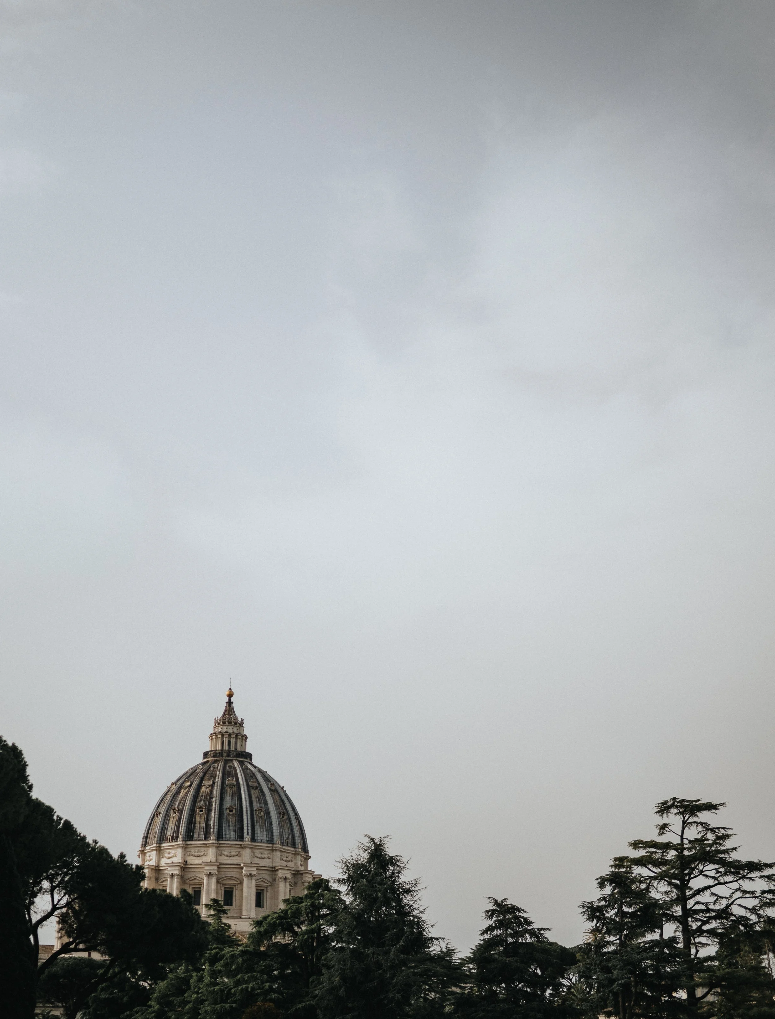 4N1A9870.jpg