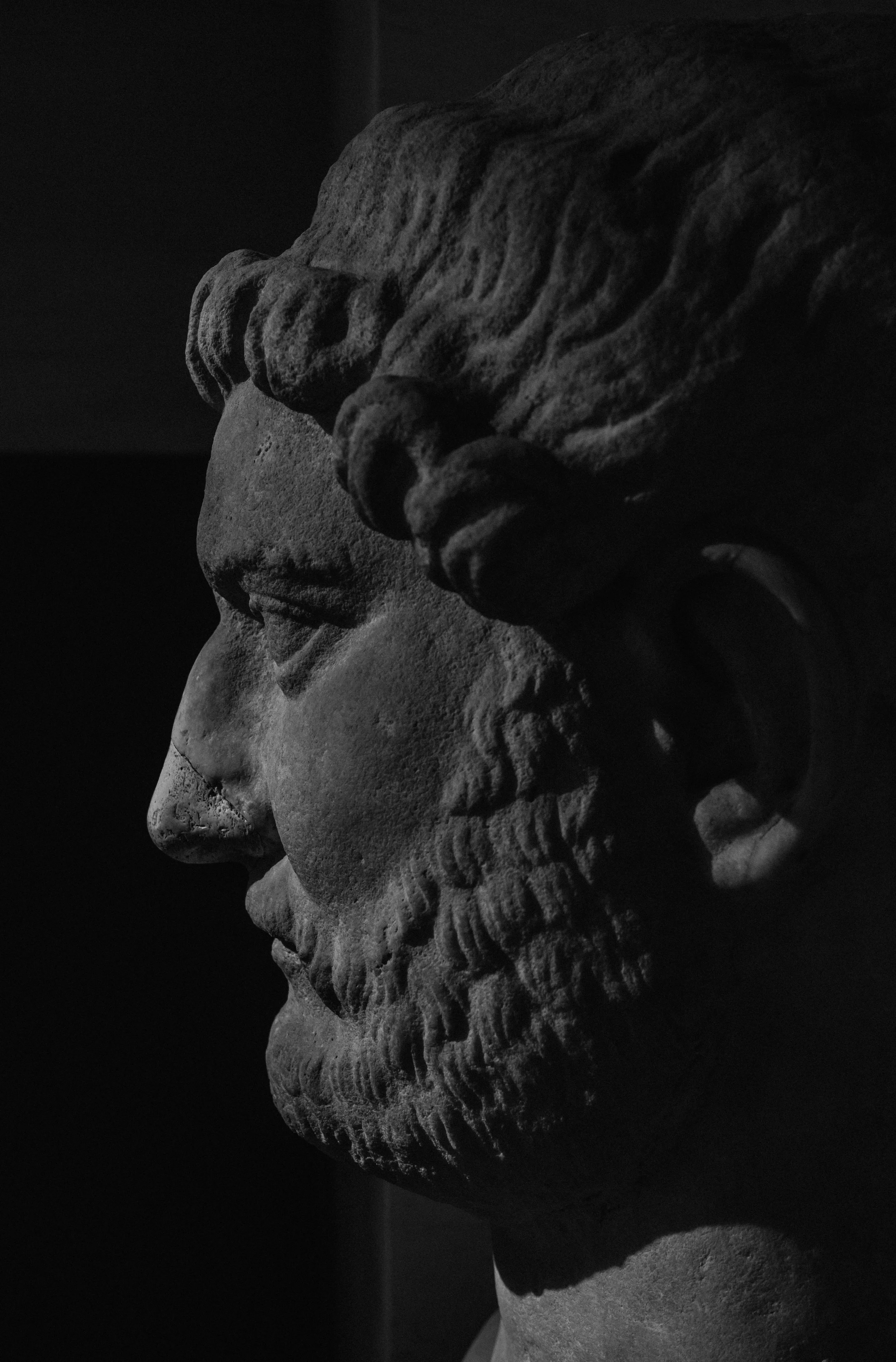 4N1A9719.jpg