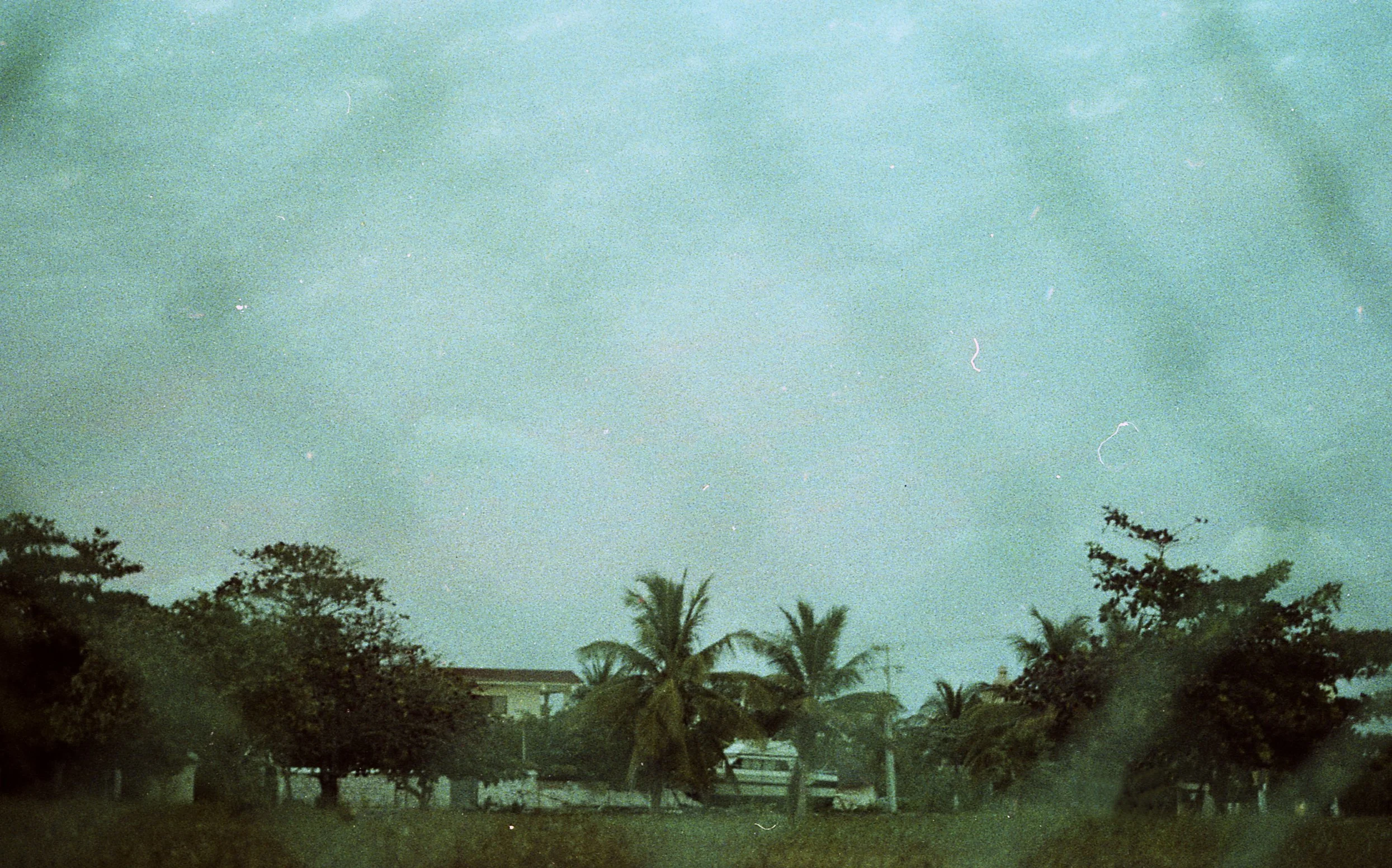 color031.jpg