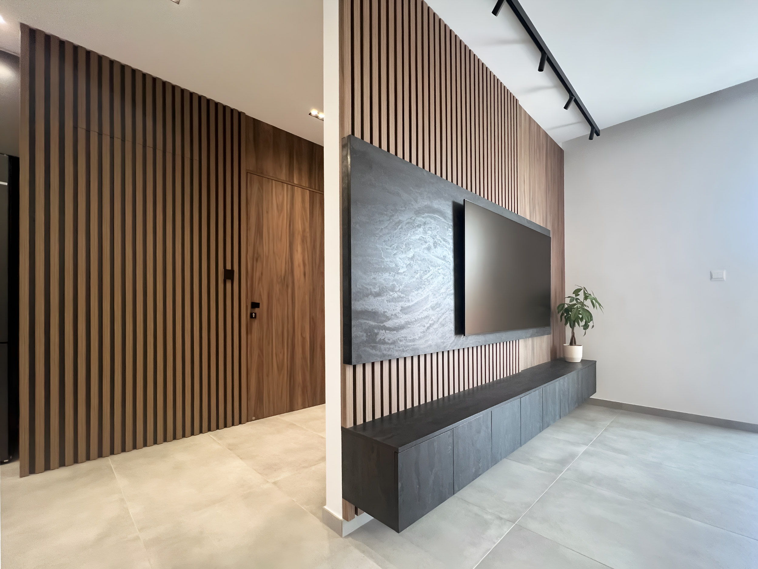 Modern interior with wooden slat wall, mounted flat-screen TV, black console table, and potted plant.