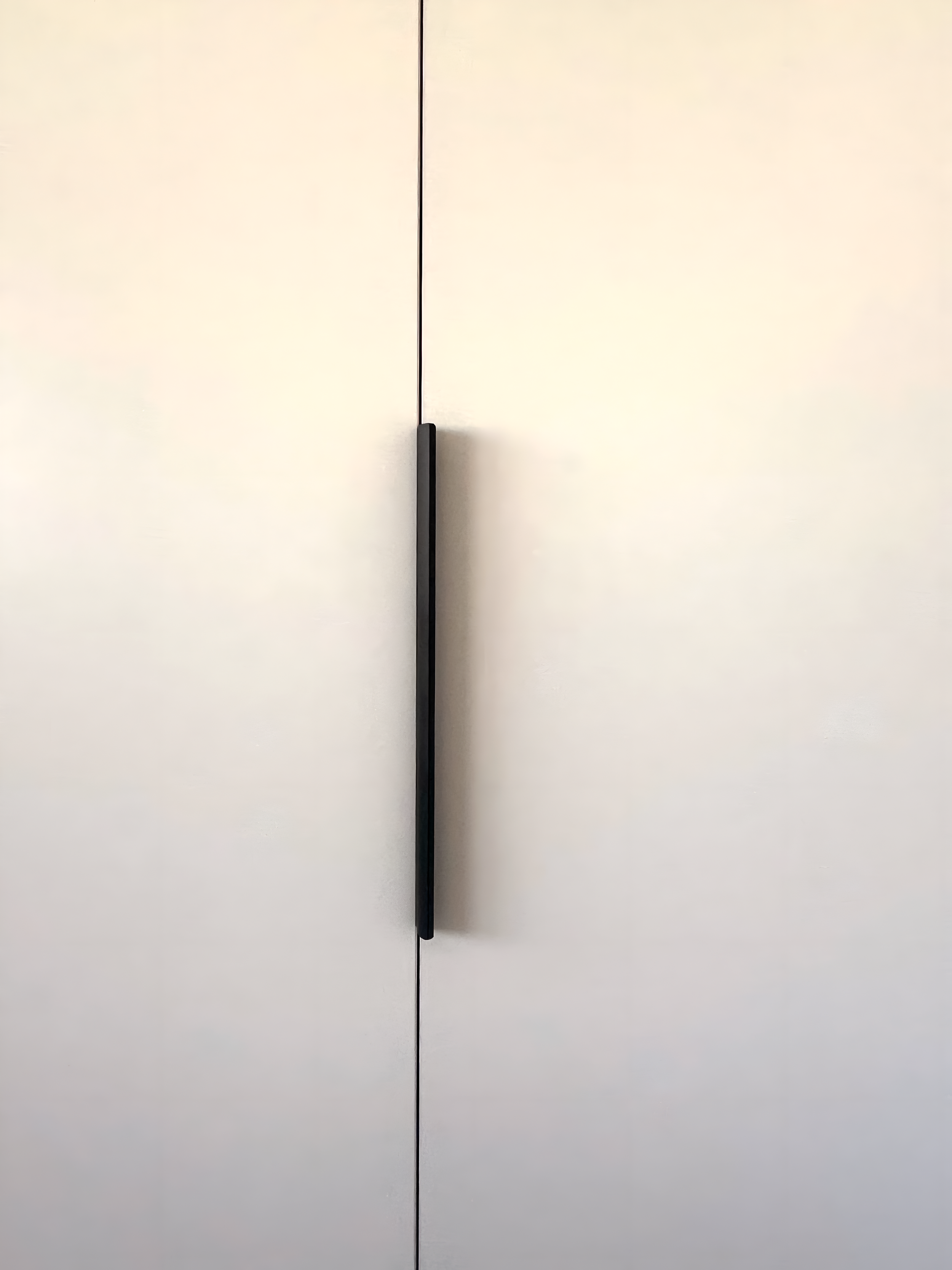A white closed door with a long, vertical black handle in the center.