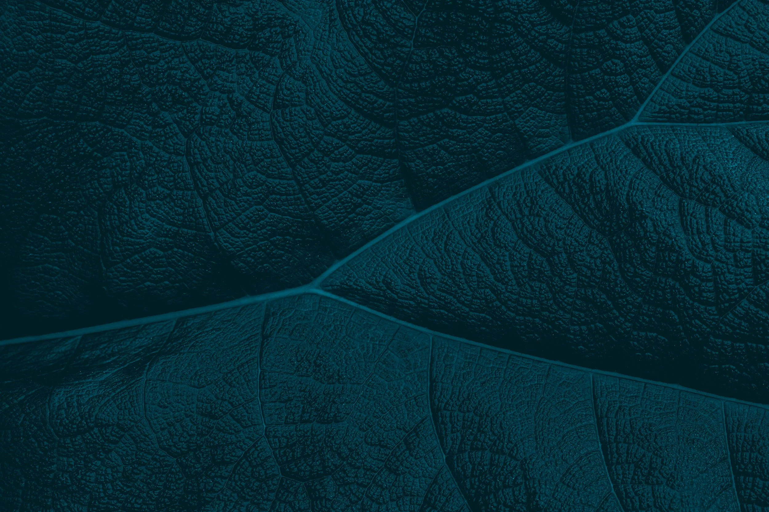 AI Test 2