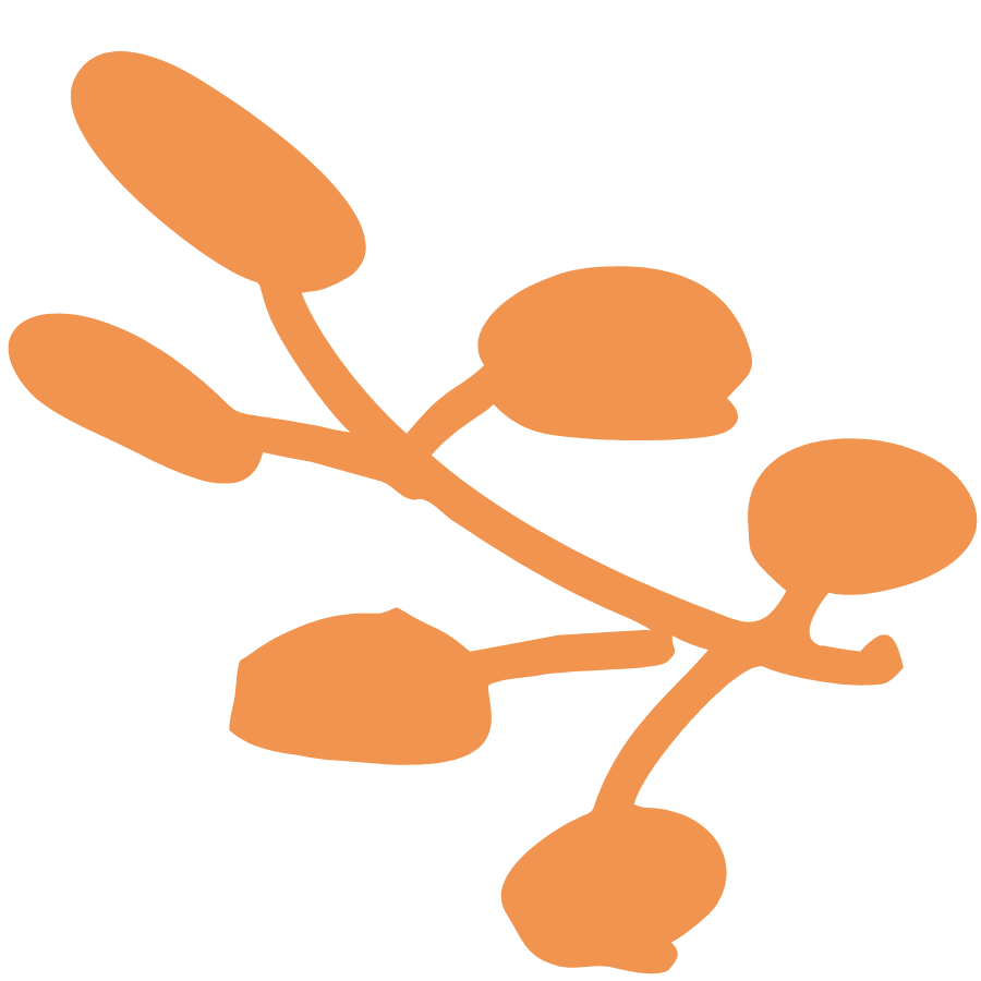Orange silhouette of an abstract plant to represent Strong Roots OT, an occupational therapy clinic in south New Jersey & Philadelphia that specializes in maternal health and pediatrics.