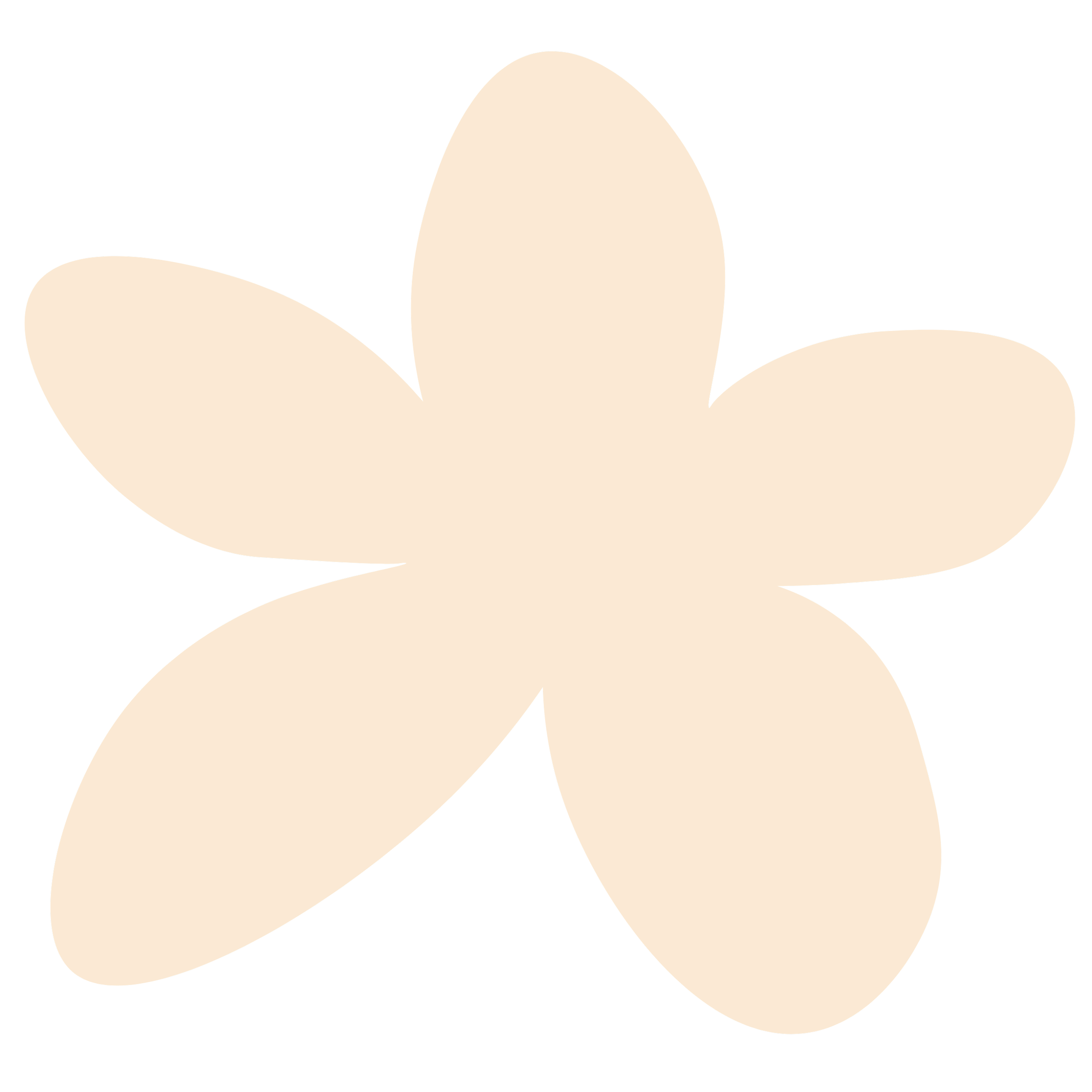 A stylized light orange slightly transparent flower with rounded petals on the website for Strong Roots OT where we provide maternal health & pediatric occupational therapy services for women & kids in south New Jersey & Philadelphia..