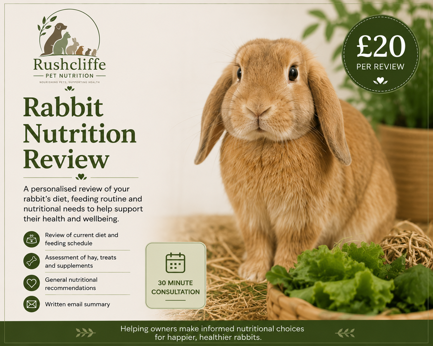 Rabbit Nutrition Review