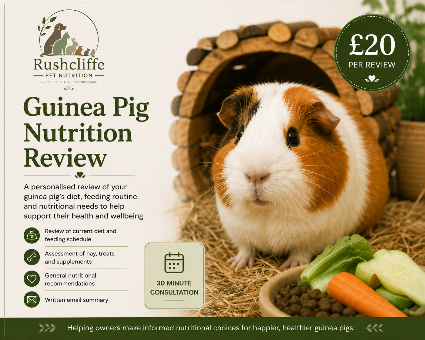 Guinea Pig Nutrition Review