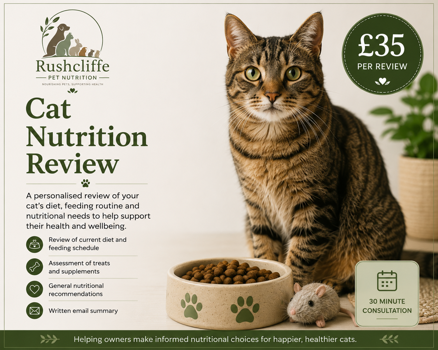 Cat Nutrition Review