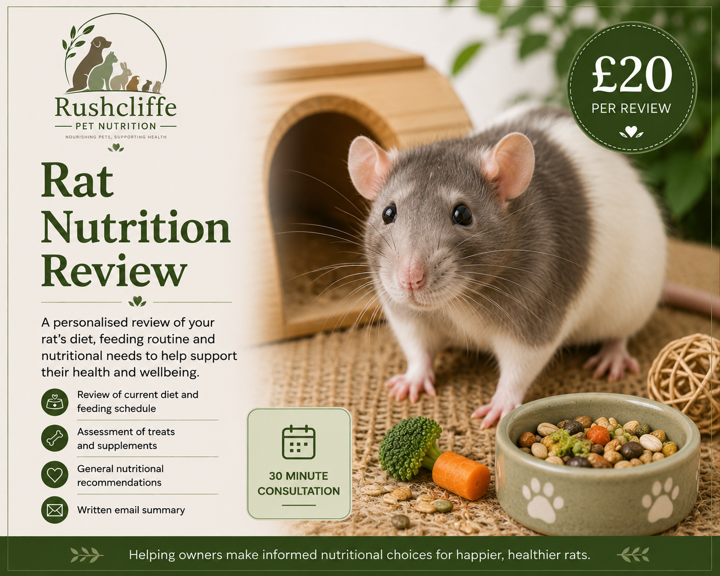 Rat Nutrition Review