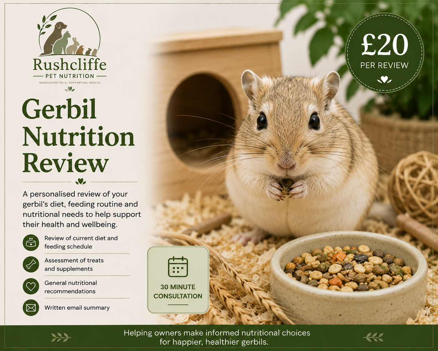 Gerbil Nutrition Review