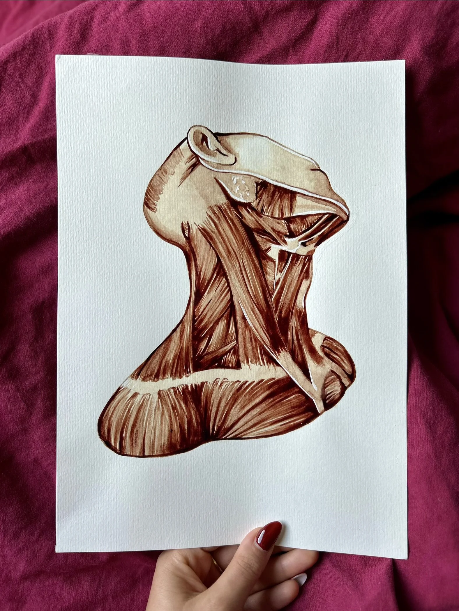 Muscles