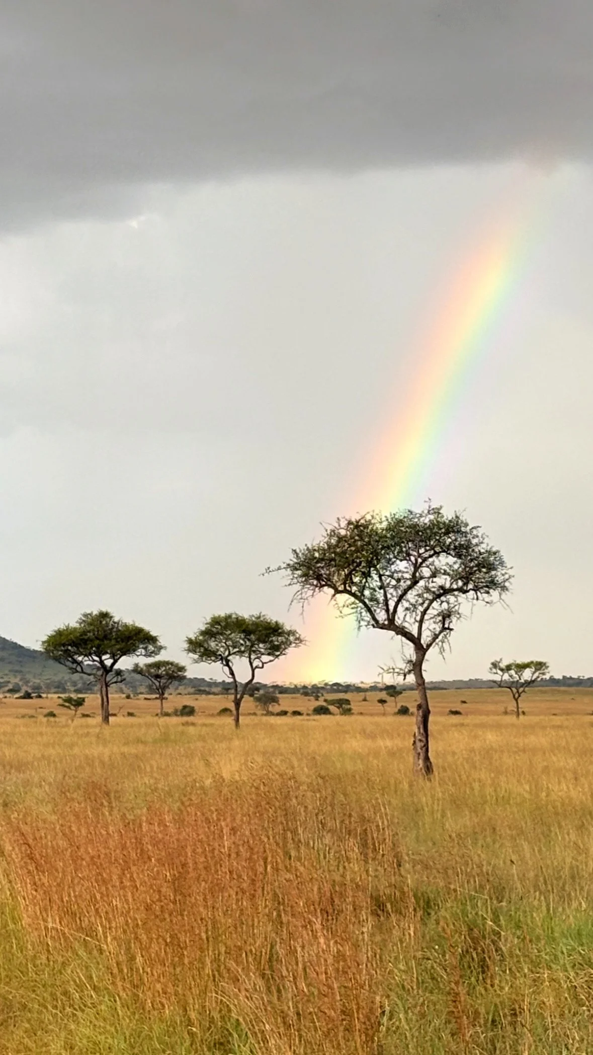 Arco-iris.JPG