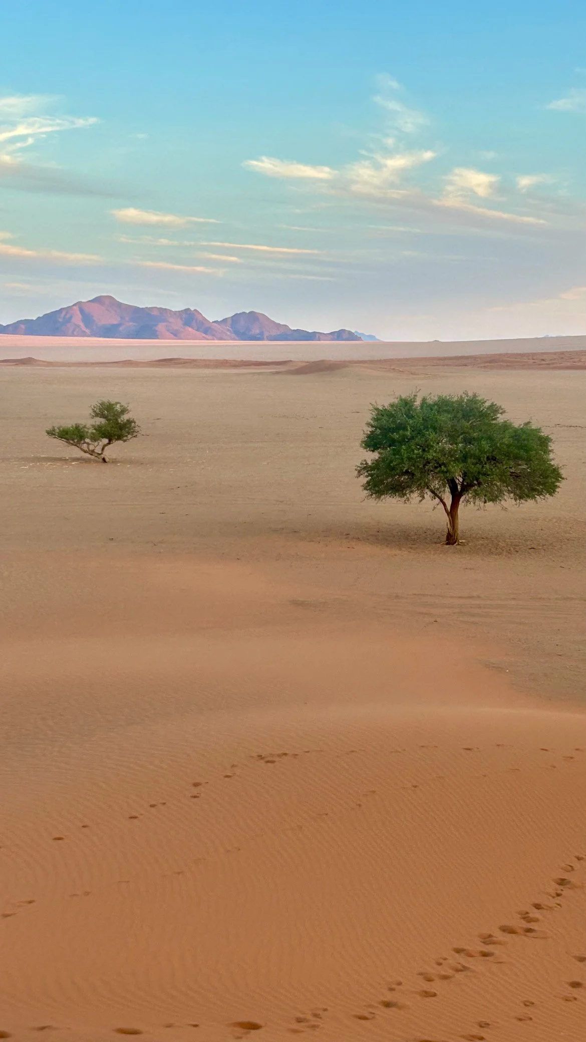 Namibia.JPG