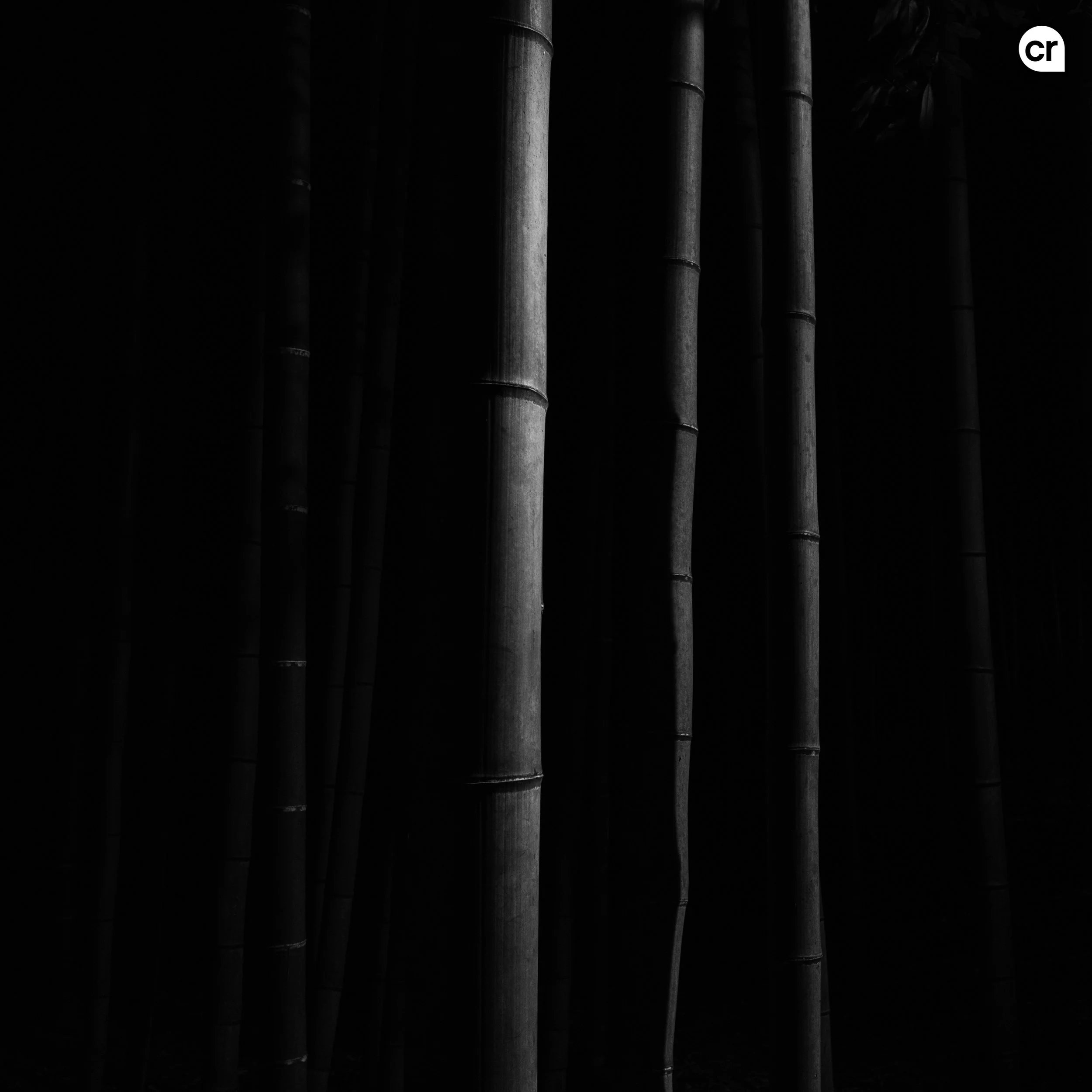 Black and white photograph of the bamboo grove at Arashiyama, Kyoto, Japan. Made by Indigenous Design and Photography Ltd.