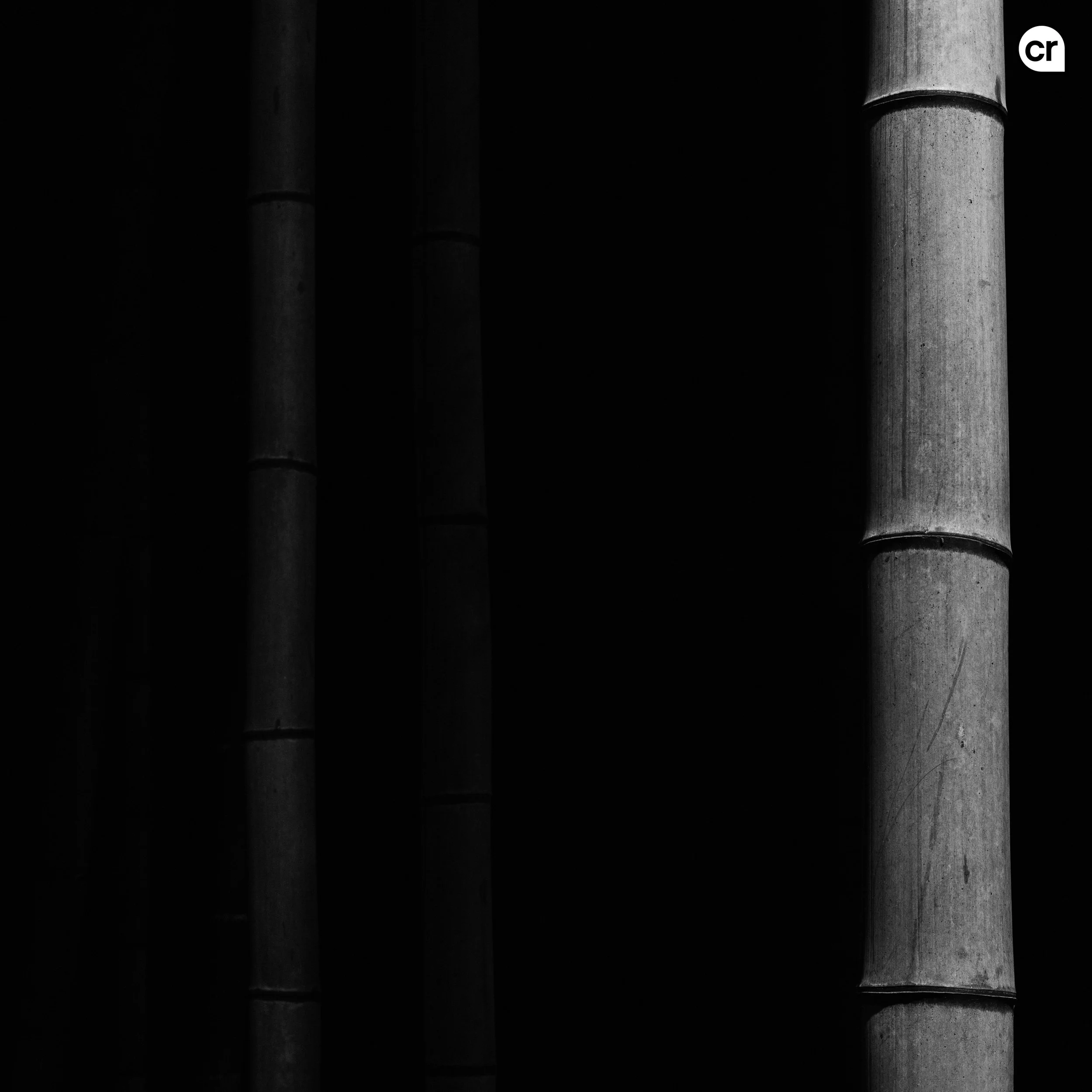Black and white photograph of the bamboo grove at Arashiyama, Kyoto, Japan. Made by Indigenous Design and Photography Ltd.