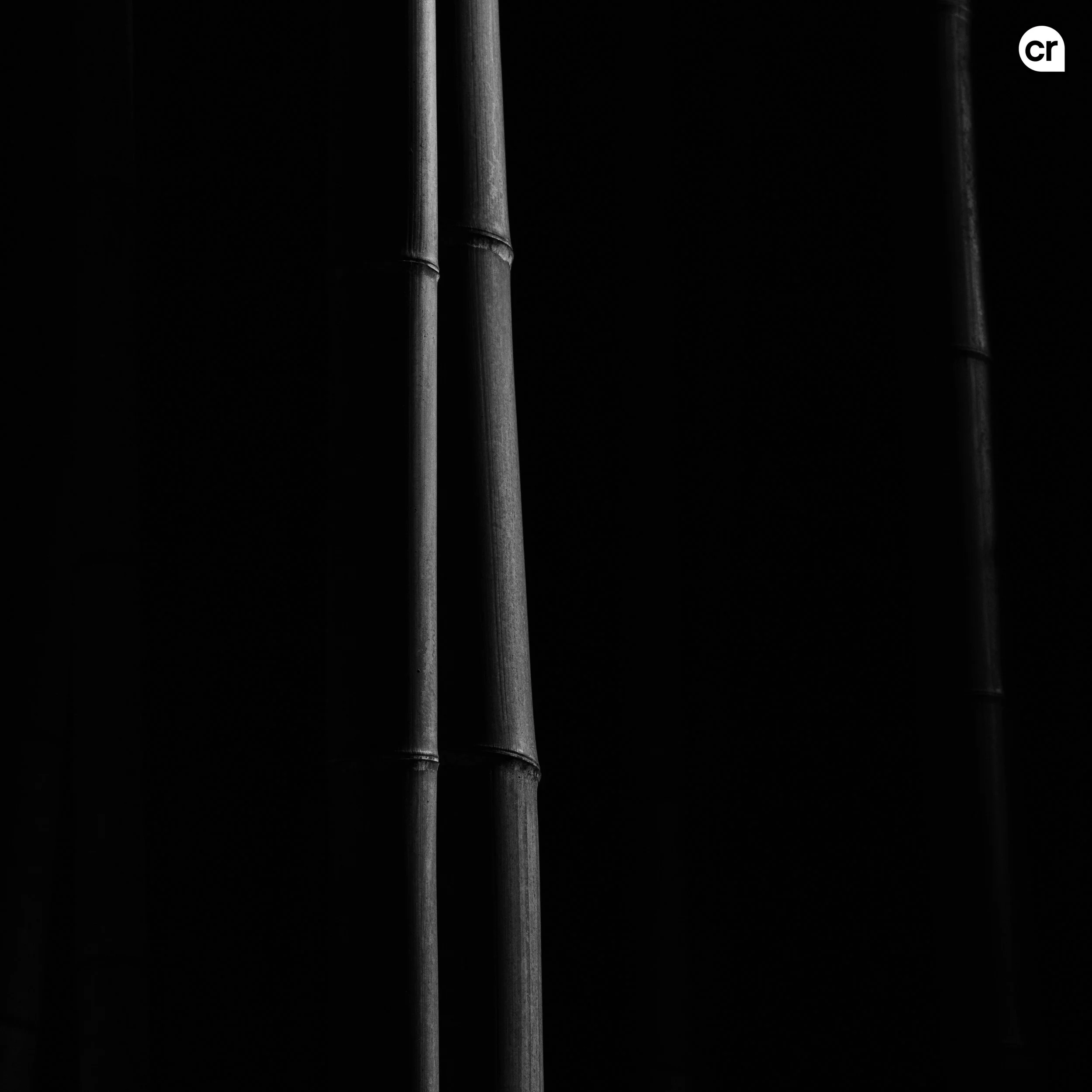 Black and white photograph of the bamboo grove at Arashiyama, Kyoto, Japan. Made by Indigenous Design and Photography Ltd.
